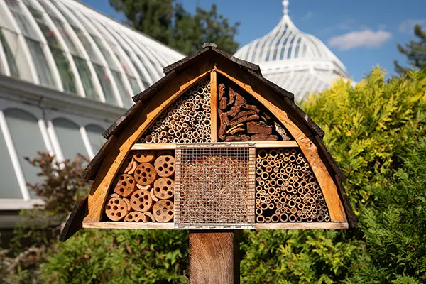 Phipps Conservatory's current bee hotel, which is a small triangular structure filled with layered straws facing out. The filled holes indicate where bees have laid their eggs.