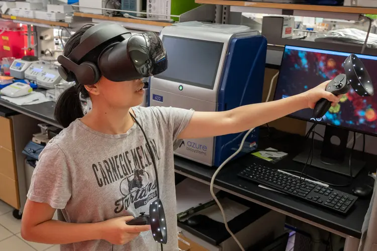 Zhangyu "Sharey" Cheng demonstrates ExMicroVR, an immersive virtual reality environment that allows scientists to collaborate and virtually explore biological data.